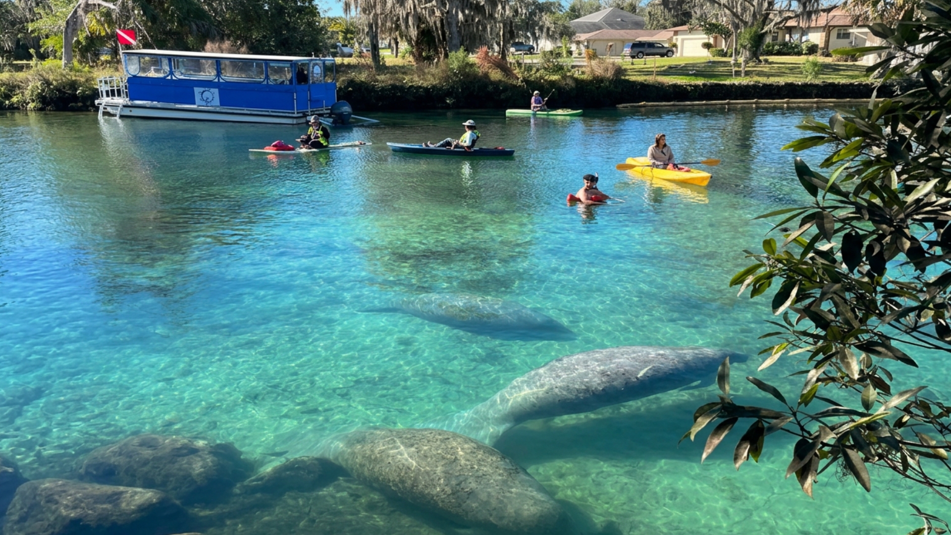 Three Sisters Springs and Kings Bay near Crystal River Florida