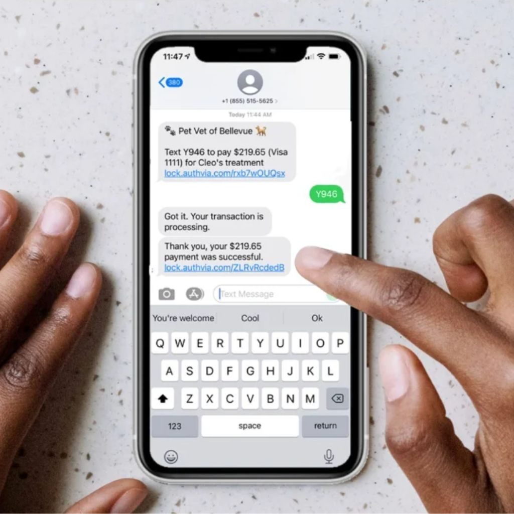 text to pay